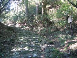 IMG_0281 IMG_0281