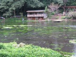IMG_0455 IMG_0455