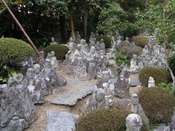 IMG_1881 IMG_1881