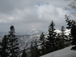 IMG_2390