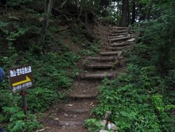 IMG_3273