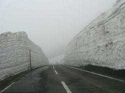 IMG_6193 IMG_6193