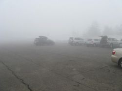 IMG_6197 IMG_6197