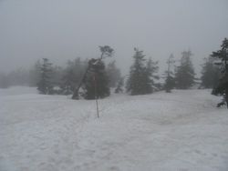 IMG_6205 IMG_6205