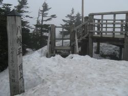 IMG_6207 IMG_6207