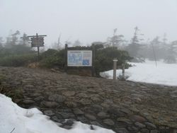 IMG_6212 IMG_6212