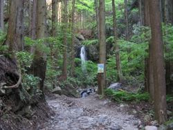IMG_6235 IMG_6235