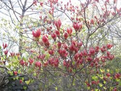 IMG_6267 IMG_6267