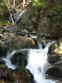 IMG_6310 IMG_6310
