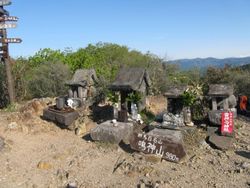 IMG_6259 IMG_6259