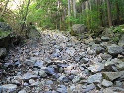 IMG_6242 IMG_6242