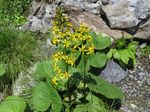 IMG_1938