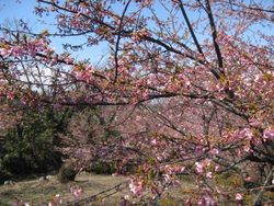 IMG_2653