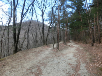 CIMG2669