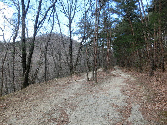 CIMG2669