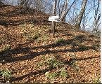 Img_3630_1_2 Img_3630_1_2