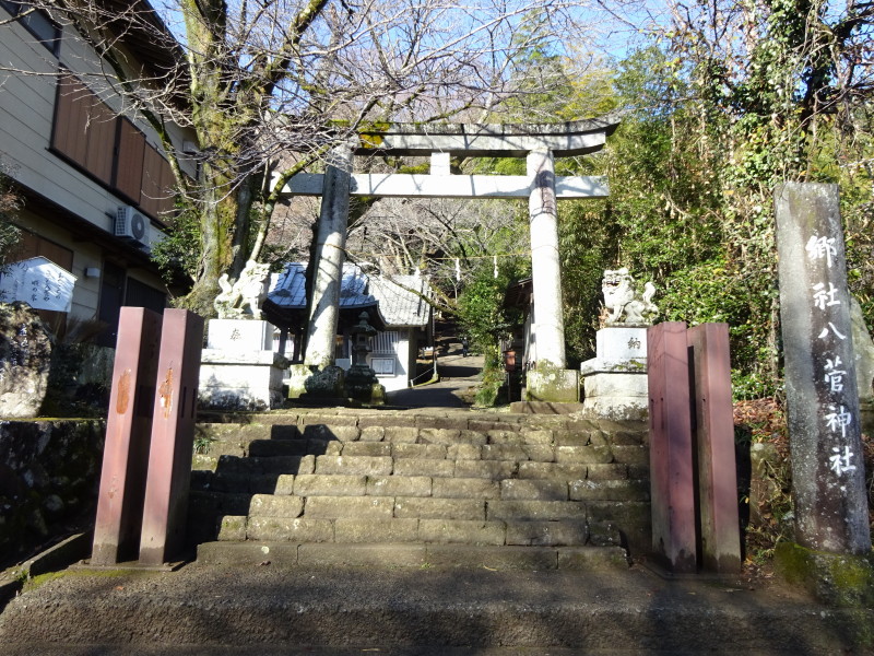 DSC02010
