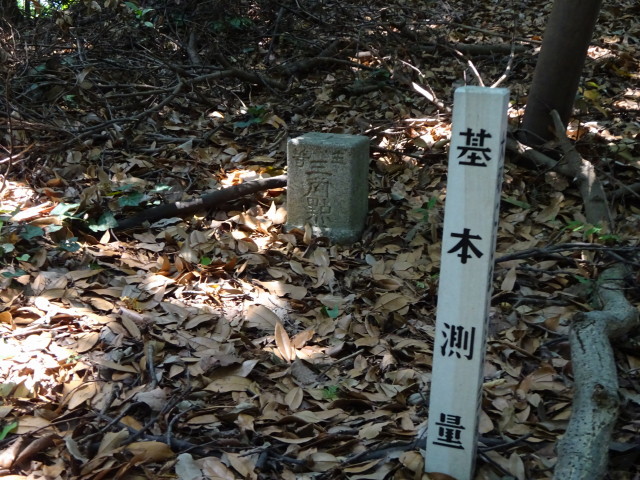 DSC03351