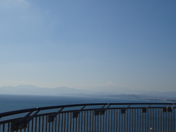 DSC04334 (1)