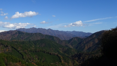 DSC04437 (2)