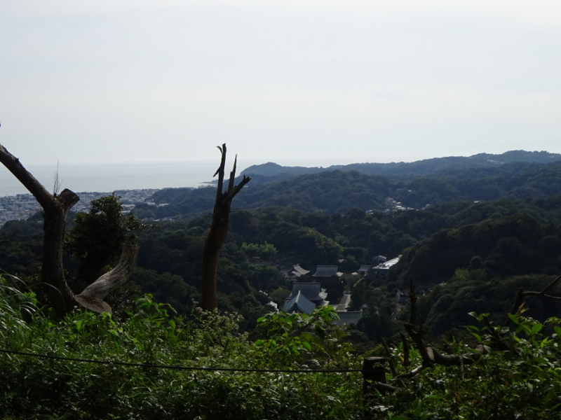 DSC03905