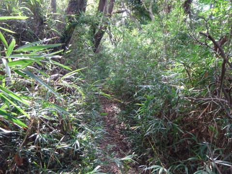 DSC03907