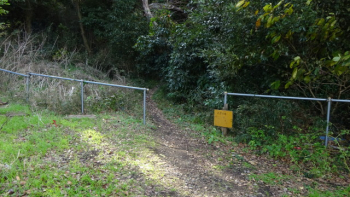 DSC04958