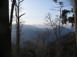 Img_0450