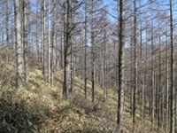 Img_3628_1_2