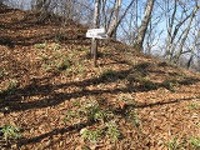 Img_3630_1_2