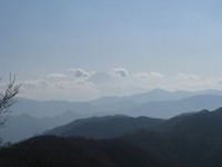 Img_3643_1_2