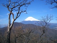 Cimg3555