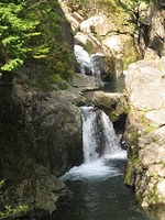 Img_4145