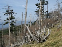 Img_4171