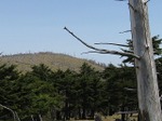 Img_4191t